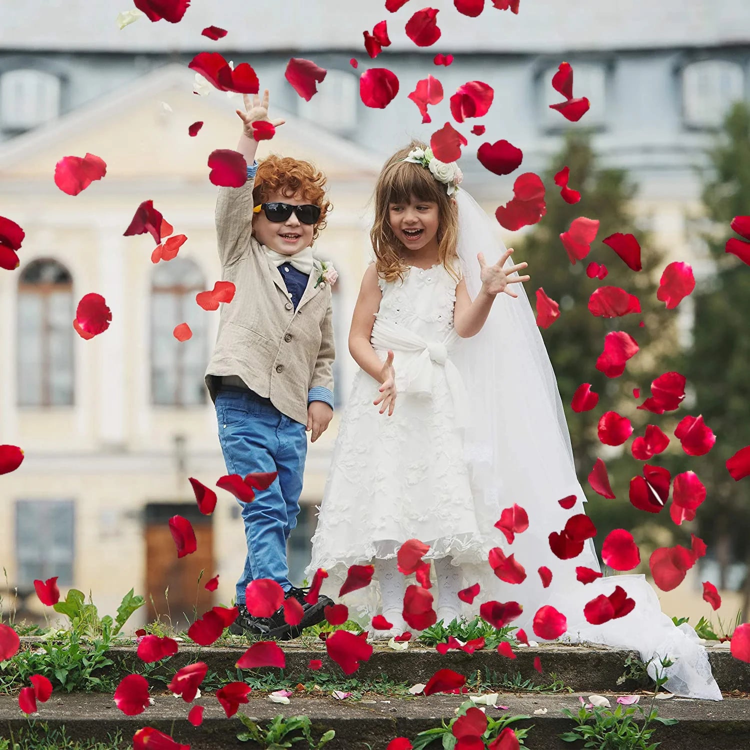 Cañón de Confeti de Pétalos Rojos