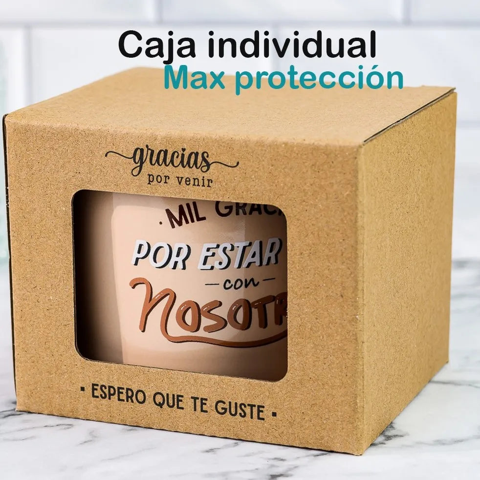 Juego de Tazas de Cerámica Vintage