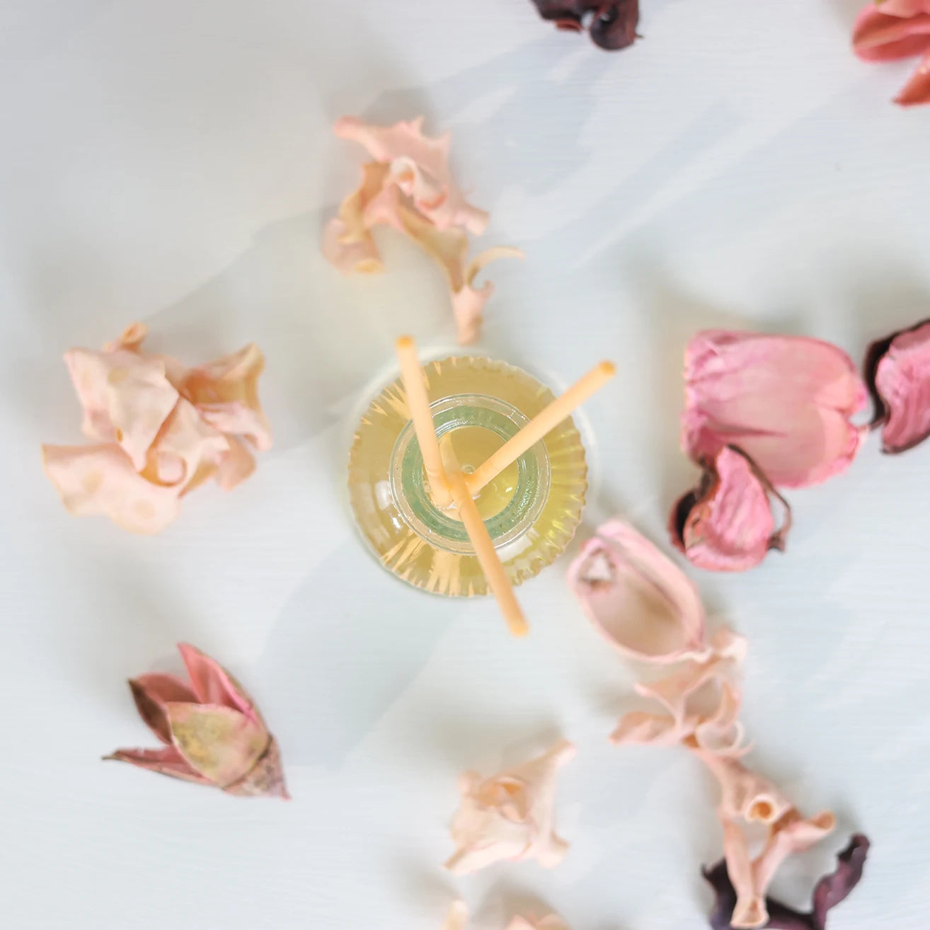 Difusor de Jazmín Regalantes